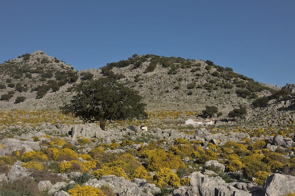 grazalema campagne nature andalousie espagne monplanvoyage