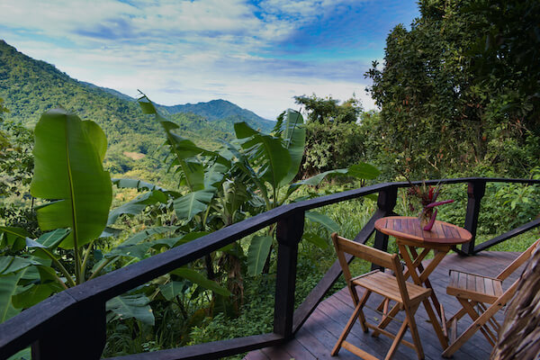 minca nature plantation cafe terrasse montagne colombie monplanvoyage