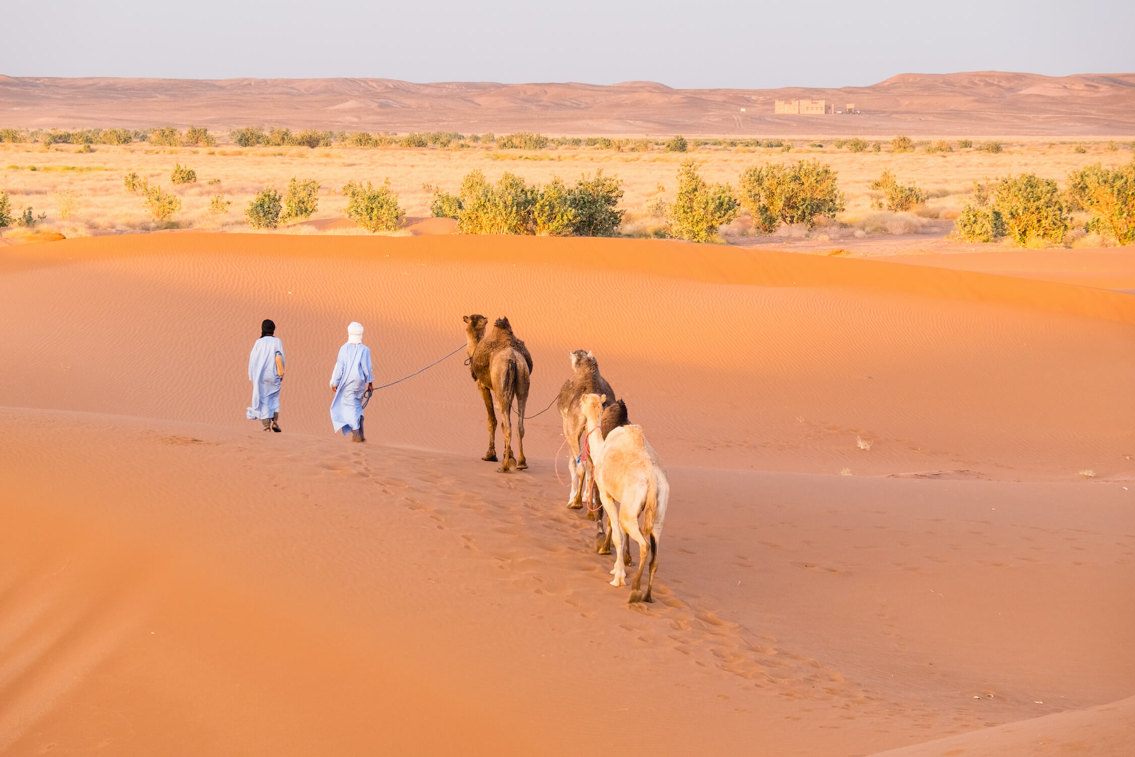 chegaga desert dune sable maroc agence monplanvoyage