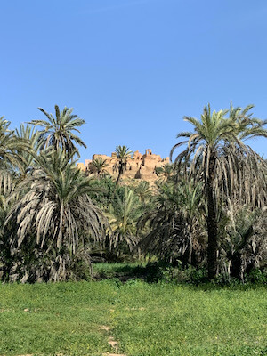 anti atlas tiout oasis palmeraie taroudant maroc monplanvoyage