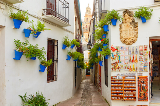 cordoue rue fleur chaux architecture andalousie espagne monplanvoyage