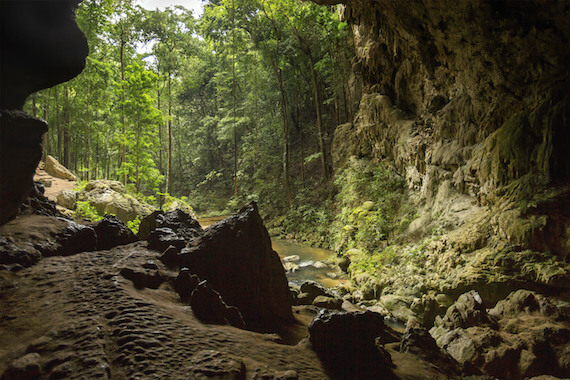 san ignacio grotte foret nature jungle belize monplanvoyage