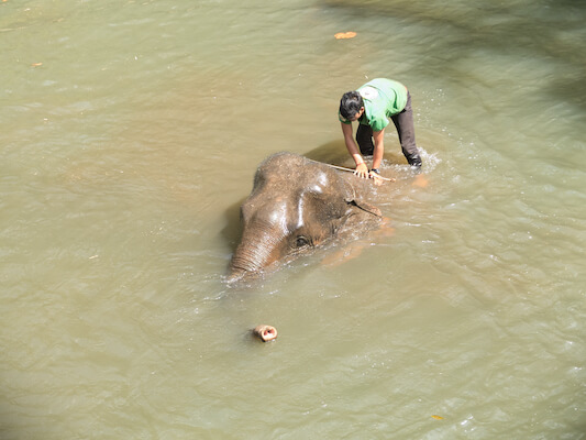 senmonorom elephant riviere soin ethnie cambodge monplanvoyage