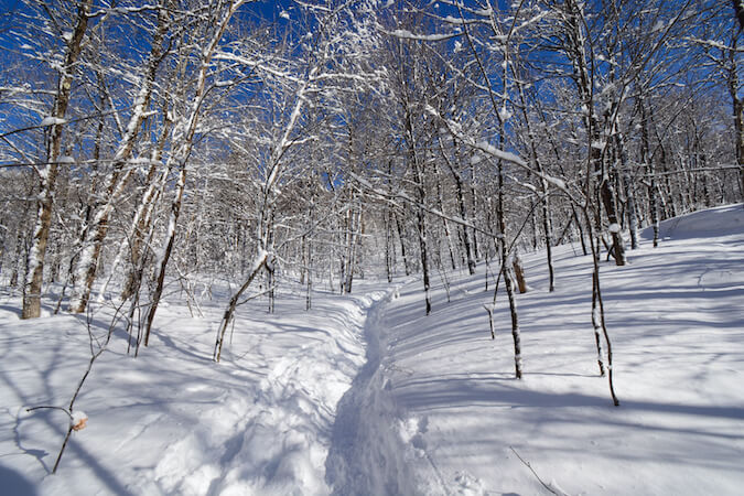 parc mahikan neige hiver bois canada monplanvoyage