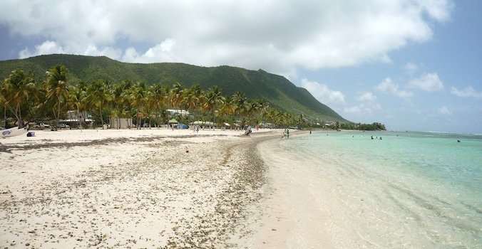 desirade ile plage sable beach cocotier caraibes guadeloupe monplanvoyage