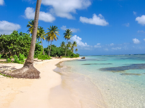 saint anne plage sable cocotier guadeloupe caraibes monplanvoyage
