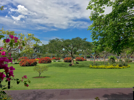 Kingston parc jardin jamaique caraibes monplanvoyage