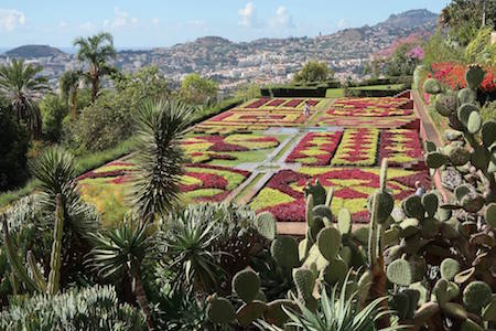 funchal jardin fleur cactus madere portugal monplanvoyage
