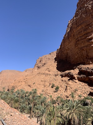 anti atlas palmeraie canyon Igmir roche nature maroc monplanvoyage