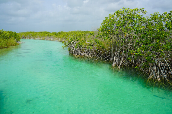 tulum sian kaan reserve nature mangrove yucatan mexique monplanvoyage