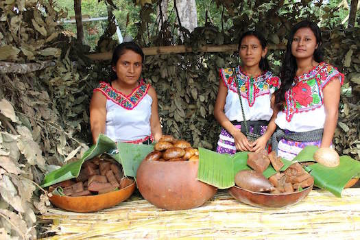 oaxaca femmes mexique monplanvoyage