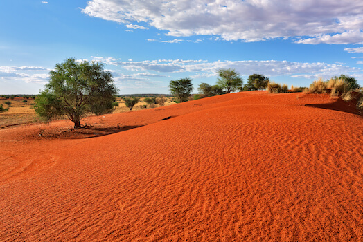 kalahari desert sable rouge namibie monplanvoyage