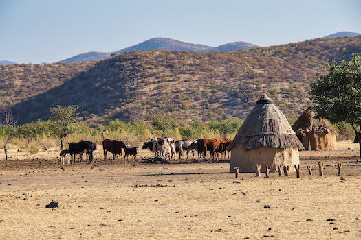 opuwo village tradition himba elevage namibie monplanvoyage