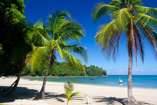 plage sable beach palmier eau turquoise panama caraibes monplanvoyage