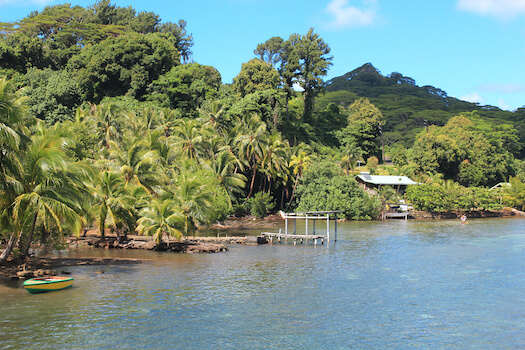 huahine nature foret sauvage polynesie monplanvoyage