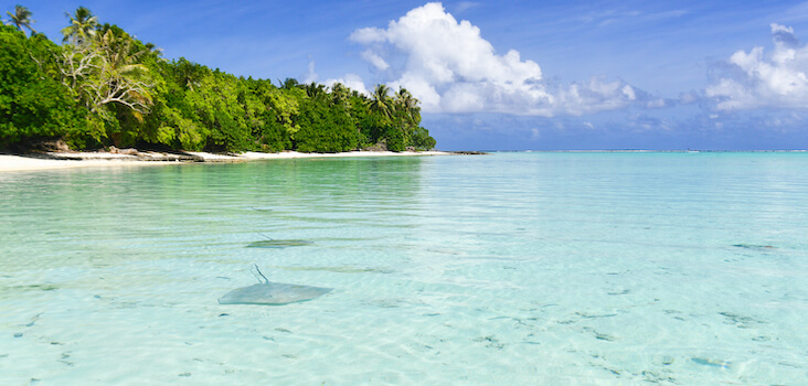 maupiti faune marin raie ile eau turquoise plage sable blanc polynesie monplanvoyage