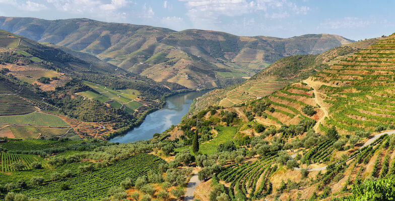 douro vallee vin vignoble fleuve portugal monplanvoyage