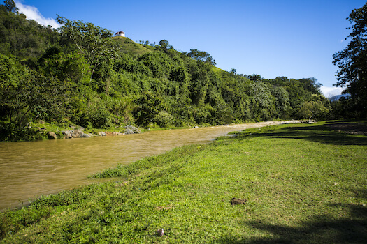 jarabacoa nature foret arbre riviere tropical republique dominicaine