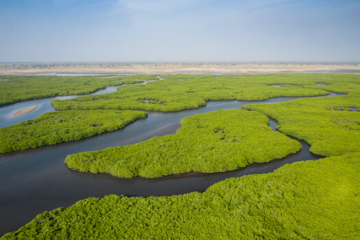 sine saloum delta mangrove nature senegal afrique monplanvoyage