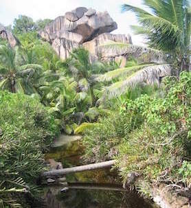 saint anne ile nature balade seychelles monplanvoyage