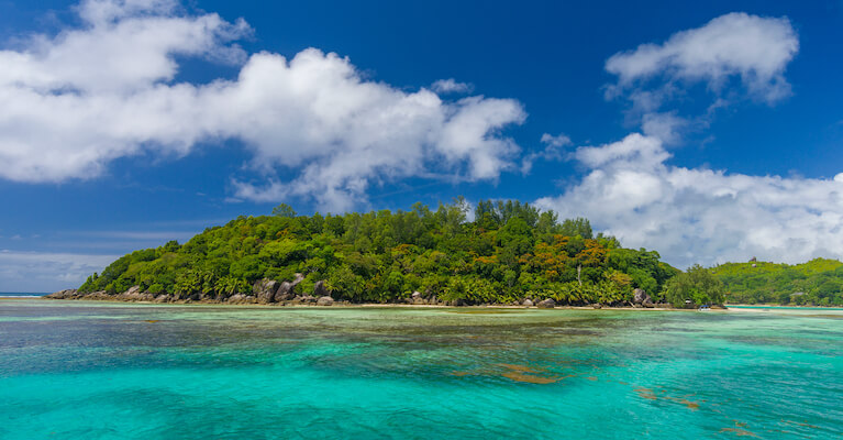 mahe ile parc marin saint anne faune les seychelles ocean indien monplanvoyage