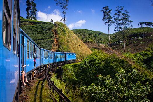 ella train plantation the culture angleterre srilanka monplanvoyage
