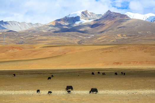 tibet sky train paysage monplanvoyage