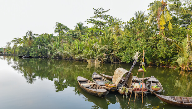 delta mekong mangrove bateau nature vietnam monplanvoyage