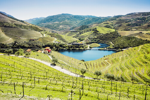 Douro vallee vin vignoble Portugal Monplanvoyage
